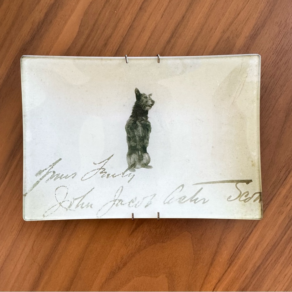 John Derian Glass Mini 4-1/2'' x 6-1/2'' Tray Scottie Dog